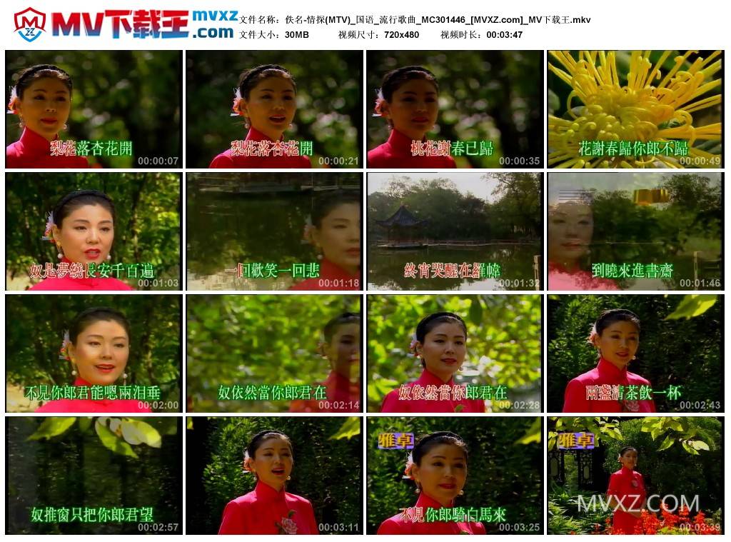 佚名-情探(MTV)_国语_流行歌曲_MC301446